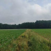 Działki Rolne (1000 m2) Skałka