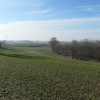 Działka rolna 11,75 ha Kolonia Ostrowicka, gmina Gniew
