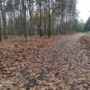 Rudna Mała, Rzeszów - 24 ar - Droga asfaltowa z 2 stron