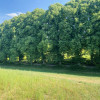 Działka przy lesie na granicy Widlina i Łapina