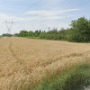 Grunt rolny w Lublinie o powierzchni 54 ar