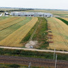 Na Sprzedaż działka rolna 8500 m2 (0,85 ha) | Na terenie działki obowiązuje MPZP | Kotunia koło Słupcy