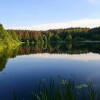 Dom z częścią usługową,  garażem i ogrodem.