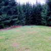 WYJĄTKOWE „RANCHO” NA SPRZEDAŻ!