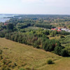 Działka Ogonki