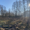 Działka Budowlana 371/9, 1100 m2 Pod Lasem
