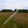 Działka Korabiewice