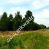 Działka Korabiewice