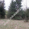 Działka budowlana 4700 m2 Grzmiąca