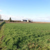 Grunt Rolny okolice Sompolna/Izbicy Kujawskiej