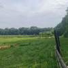 Działka Marchwacz-Kolonia