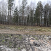 Działki 10a pod zabudowę pod lasem- Widełka
