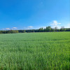 Działka rolno-budowlana w Rembowie, powiat łaski