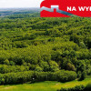 Działka leśna w Skrzyszowie