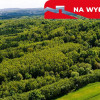 Działka leśna w Skrzyszowie