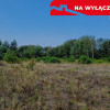Działka budowlana 28 arów w Pustkowie Budy 168000!