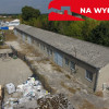 Magazyn, Łaziska, Opole Lubelskie, 525m2, 25 ar