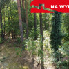 Działka letniskowa 800 m2 w Woli Chodkowskiej.