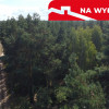 Działka letniskowa 800 m2 w Woli Chodkowskiej.