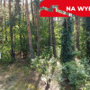 Działka letniskowa 800 m2 w Woli Chodkowskiej.