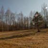 Siedlisko w Joninach z działkami 3,5 hektara