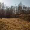 Siedlisko w Joninach z działkami 3,5 hektara