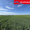 Działka 0,82ha U/MN Wólka gm. Długie pod Lublinem.