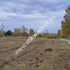 Zboiska gm. Radziejowice | MPZP | 1300m2 | S8