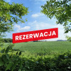 Na sprzedaż działka w Miechowicach Wielkich