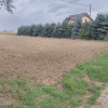 Sprzedam dużą działkę w Jaraczewie koło Jarocina woj. wielkopolskie