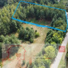 Działka 3117 m2 pośród drzew w Kowali gm. Puławy.