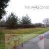 Działka rolno-budowlana 1,52 ha Dąbrowa gm. Ludwin