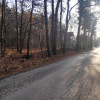Działka Kuznocin ul.  