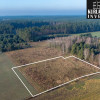 5749 m² w sercu Borów – inwestycja w naturę
