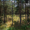 Działki budowlane w lesie