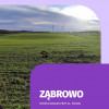 Działka Ząbrowo