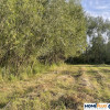 Działka budowlana 1068 m² – Dąbrówka.