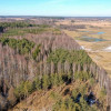 Działka Grzegorze