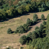 Działka Gorzewo