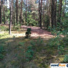 Działka w lesie 2064 m² - letniskowa i całoroczna