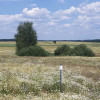 Działka Lubiewo