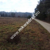 Podział 4 działek 8264m² Tłumy gm Mszczów MPZP 3MN