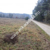 Podział 4 działek 8264m² Tłumy gm Mszczów MPZP 3MN