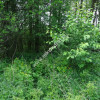 ⭐⭐⭐⭐⭐ Dwie działki 1900 + 3600m2 ⭐⭐⭐⭐⭐