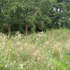 Działka 4211m2,Czarnowo, blisko jezioro,las.