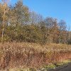 Działka Duchnów