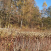Działka Duchnów