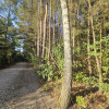 Działka Duchnów
