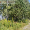 Działka Grabowa
