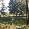Działka Nowosiedliny